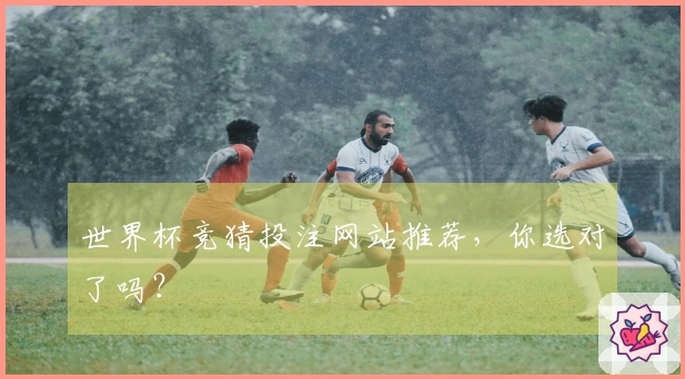 世界杯竞猜投注网站推荐，你选对了吗？