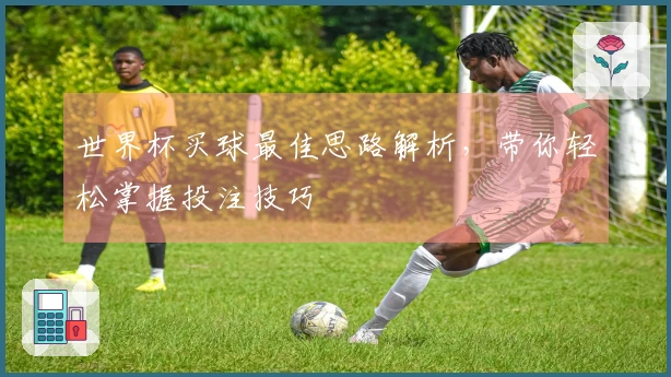 世界杯买球最佳思路解析，带你轻松掌握投注技巧