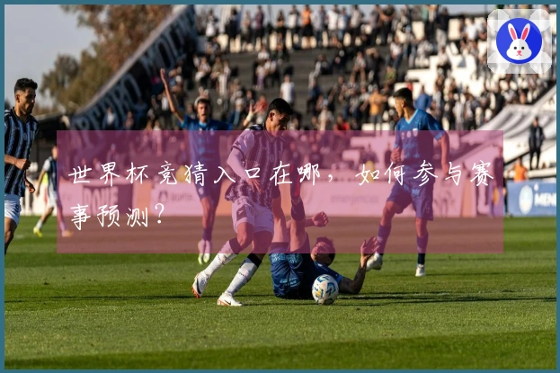 世界杯竞猜入口在哪，如何参与赛事预测？