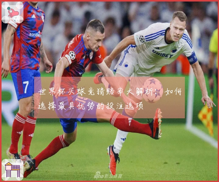 世界杯买球竞猜赔率大解析：如何选择最具优势的投注选项