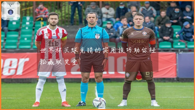 世界杯买球竞猜的实用技巧助你轻松赢取奖金