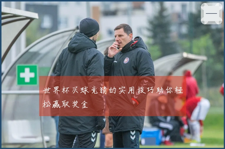 世界杯买球竞猜的实用技巧助你轻松赢取奖金